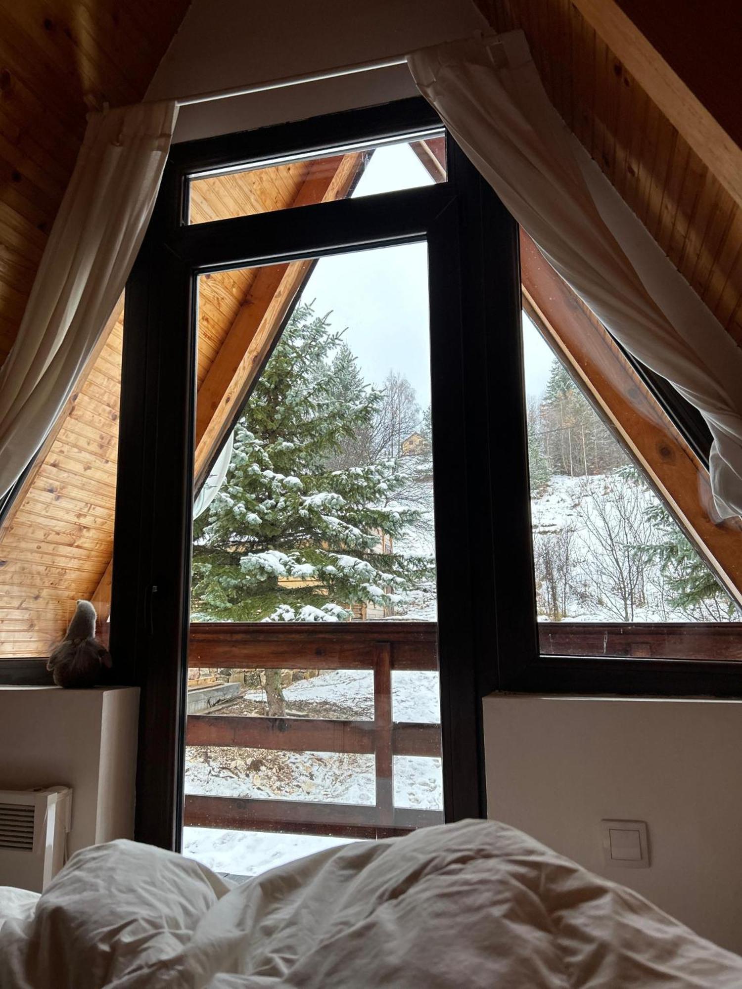 Вилла Mansion Tara Sljivovica  Экстерьер фото